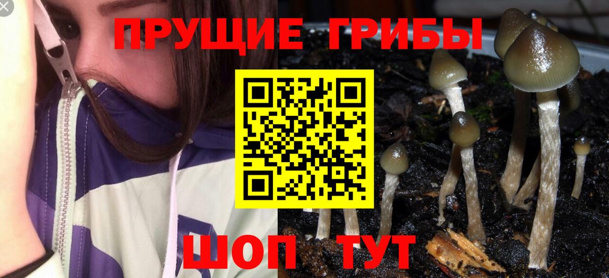 Галлюциногенные грибы ЛСД Кострома